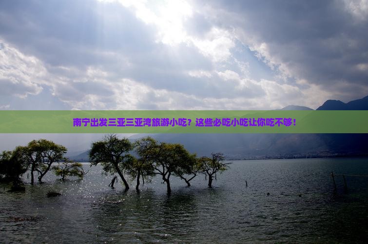 南宁出发三亚三亚湾旅游小吃