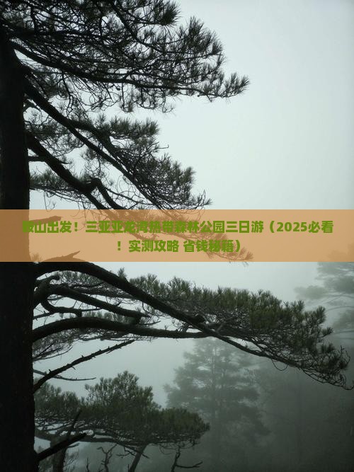 鞍山去三亚亚龙湾热带森林公园三日游