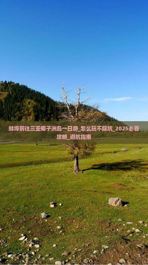 蚌埠前往三亚椰子洲岛一日游