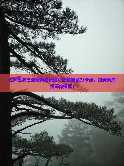 拉萨出发三亚后海必玩地