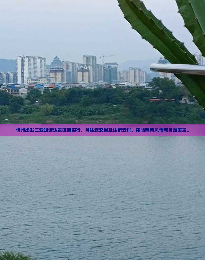 忻州出发三亚呀诺达景区自由行