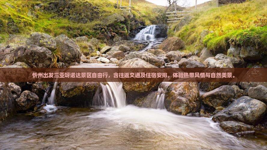 忻州出发三亚呀诺达景区自由行