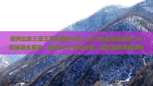 德州出发三亚三亚湾旅游小吃