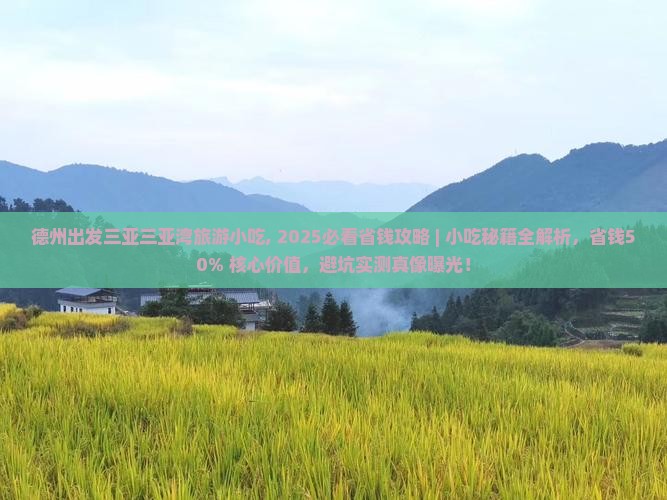 德州出发三亚三亚湾旅游小吃