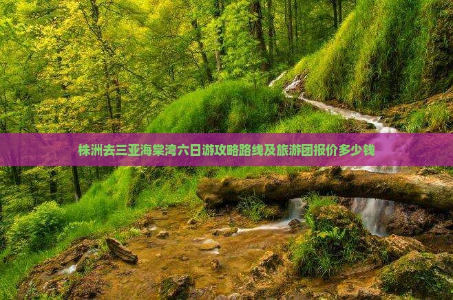 株洲去三亚海棠湾六日游