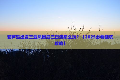 葫芦岛出发三亚凤凰岛三日游