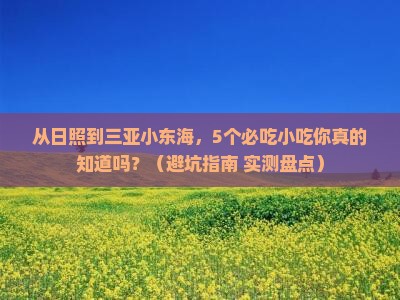 日照去三亚小东海旅游小吃