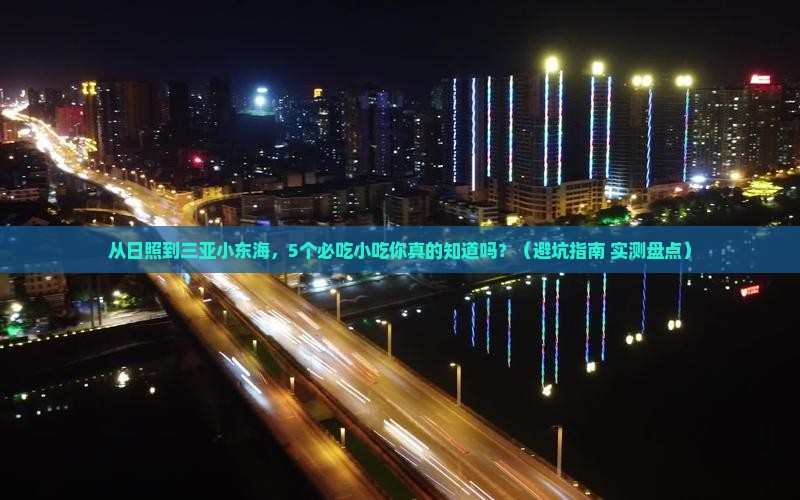 日照去三亚小东海旅游小吃