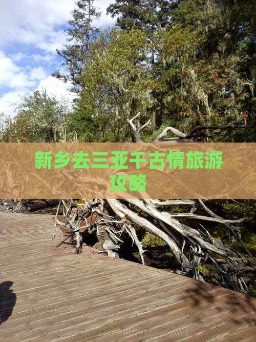 新乡去三亚千古情旅游网红地点