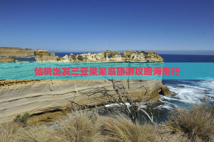 仙桃去三亚呆呆岛旅行社