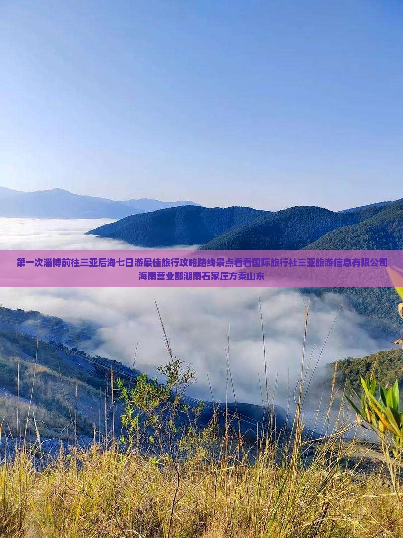 淄博前往三亚后海七日游