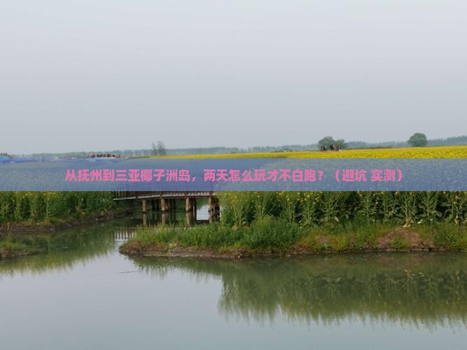 抚州前往三亚椰子洲岛二日游