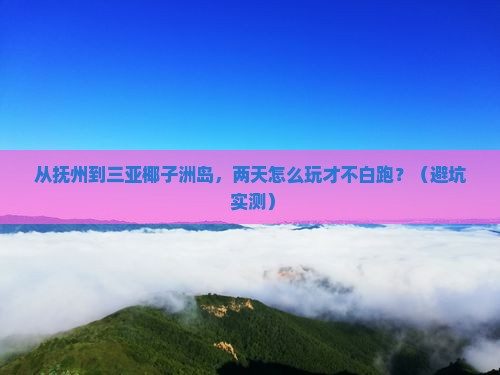 抚州前往三亚椰子洲岛二日游
