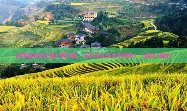 拉萨前往三亚分界洲岛五日游