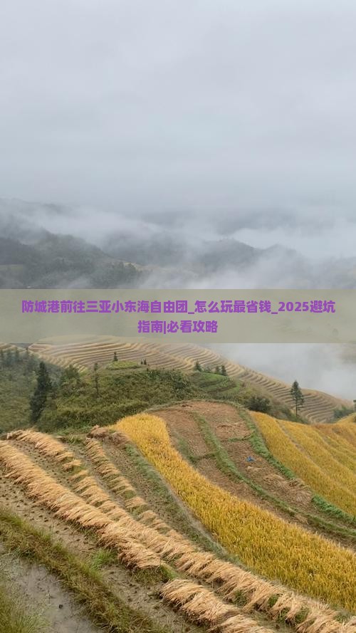 防城港前往三亚小东海自由团