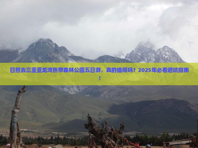 日照去三亚亚龙湾热带森林公园五日游