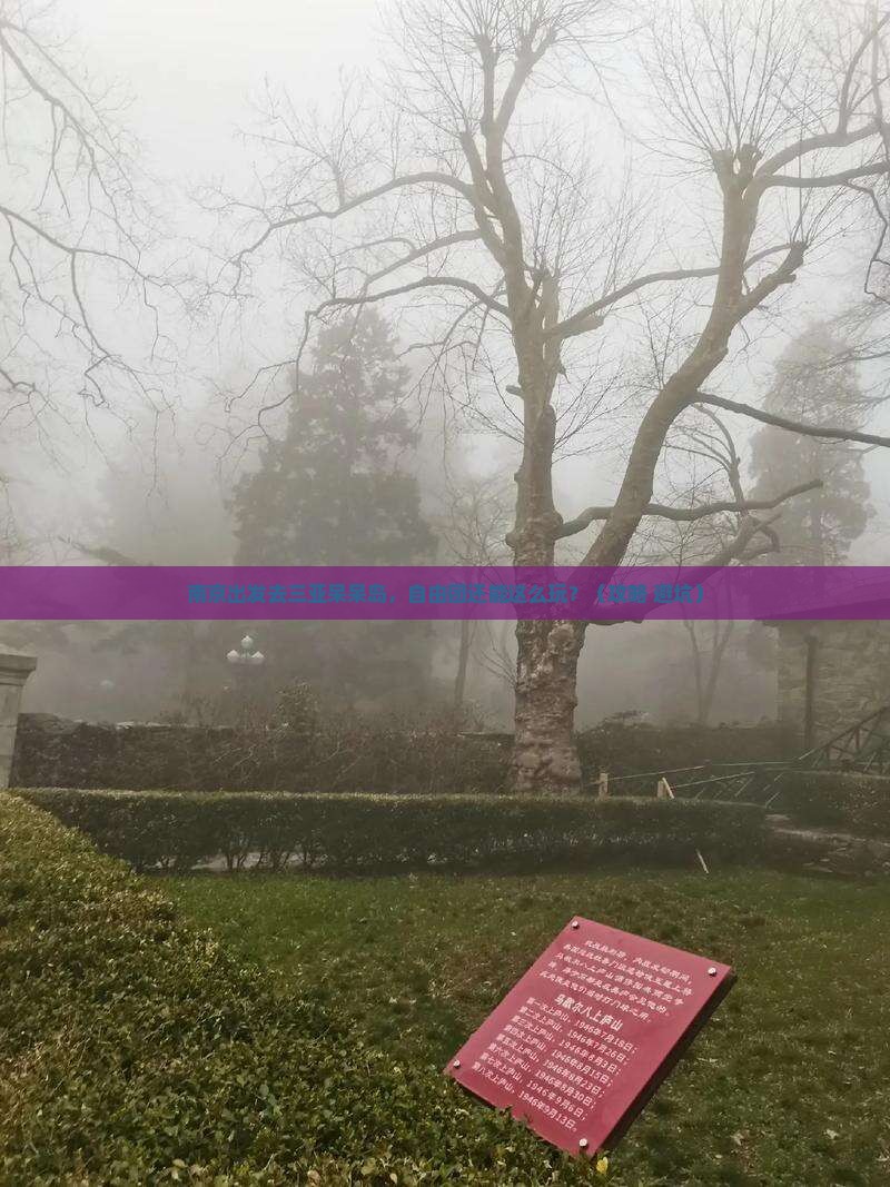 南京前往三亚呆呆岛自由团