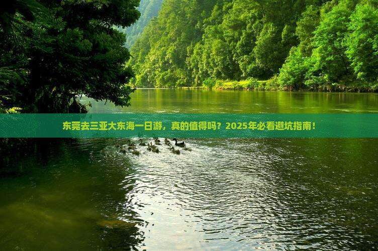 东莞去三亚大东海一日游