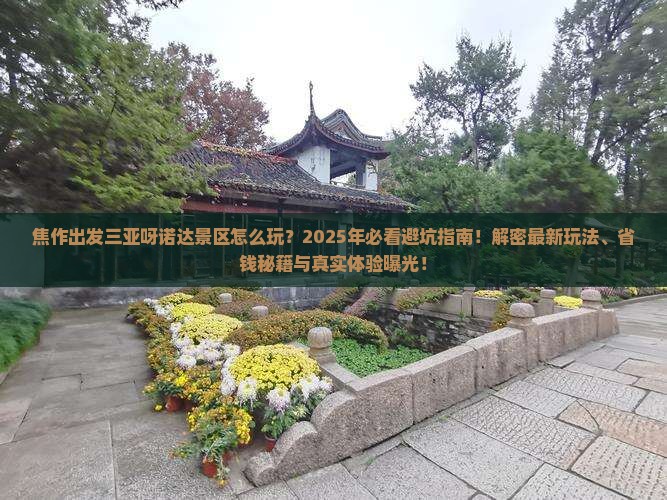 焦作出发三亚呀诺达景区哪里玩 焦作出发三亚呀诺达景区哪里玩