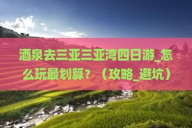 茶泉去三亚三亚湾四日游