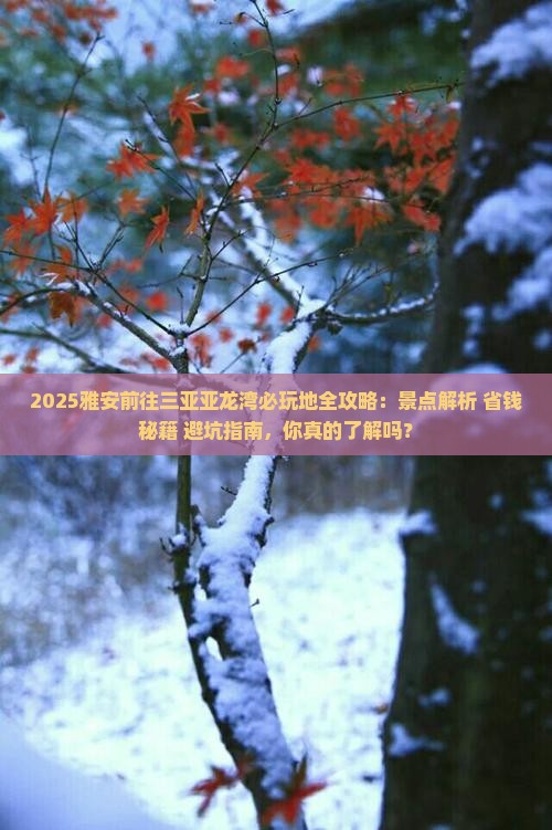 雅安前往三亚亚龙湾必玩地