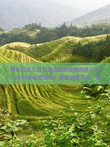 萍乡出发三亚亚龙湾国际玫瑰谷旅行社