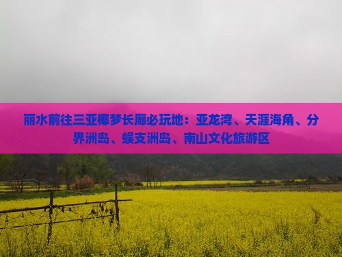 丽水前往三亚椰梦长廊必玩地