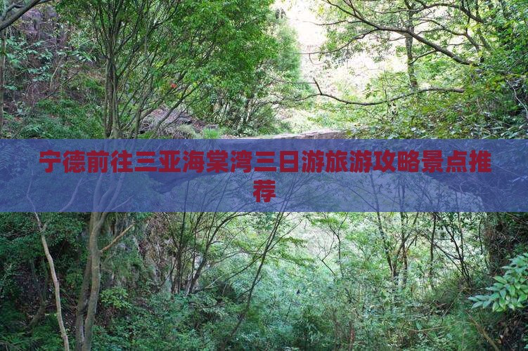 宁德前往三亚海棠湾三日游