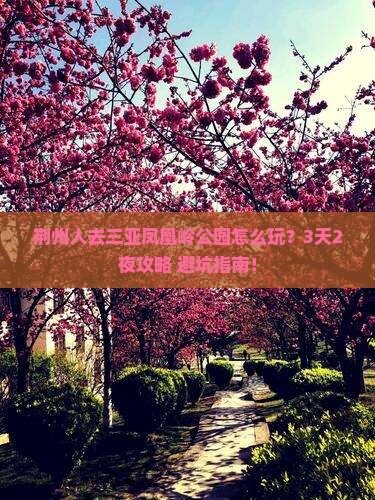 荆州去三亚凤凰岭公园个人游