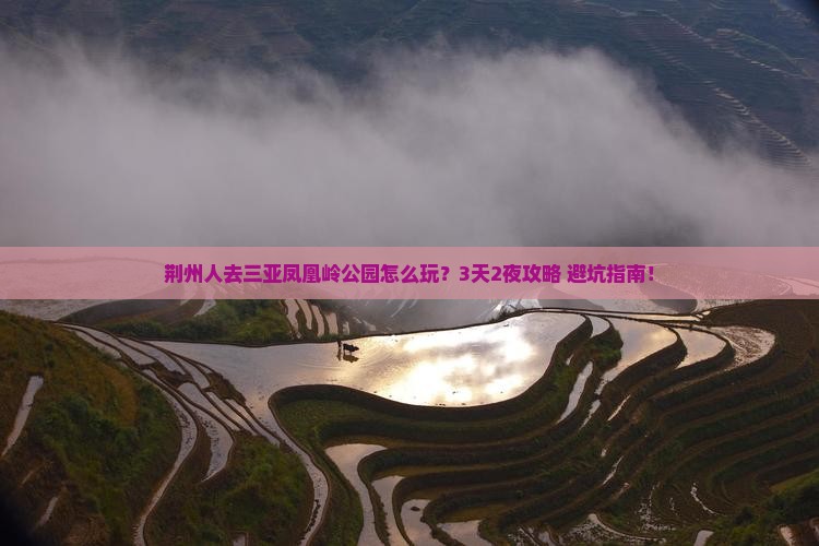 荆州去三亚凤凰岭公园个人游