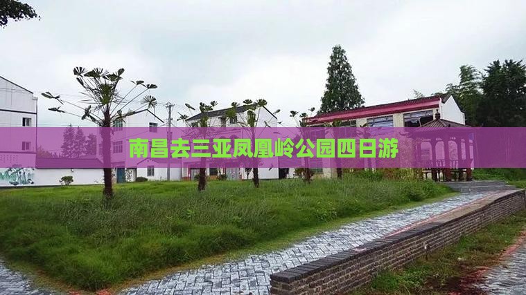 南昌去三亚凤凰岭公园四日游
