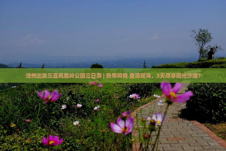 沧州出发三亚凤凰岭公园三日游