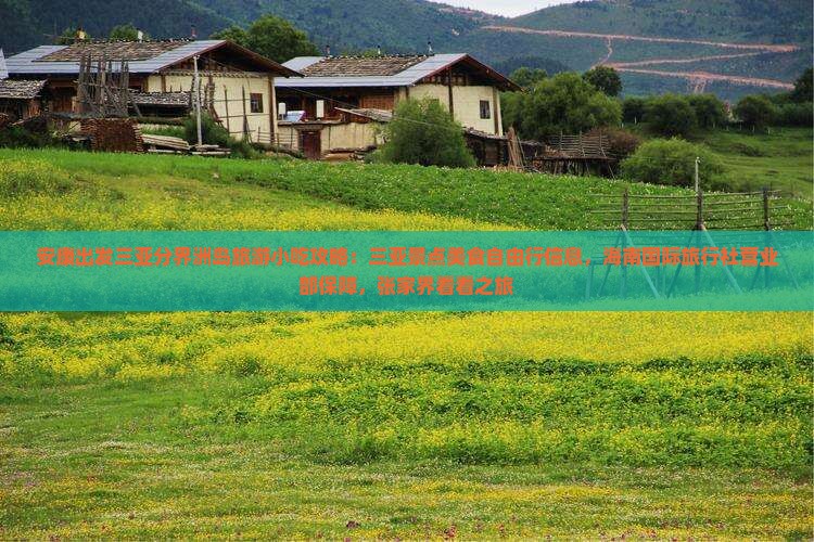 安康出发三亚分界洲岛旅游小吃