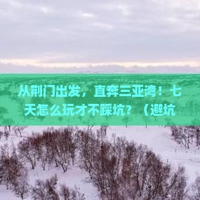 荆门前往三亚三亚湾七日游