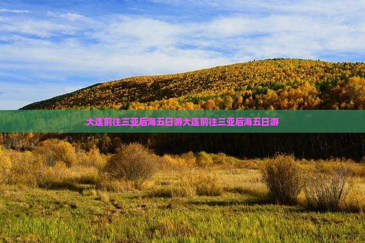 大连前往三亚后海五日游