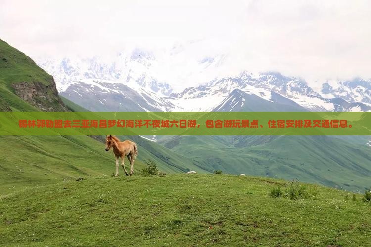 锡林郭勒盟去三亚海昌梦幻海洋不夜城六日游
