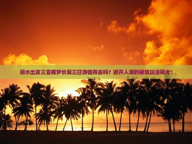 丽水出发三亚椰梦长廊三日游