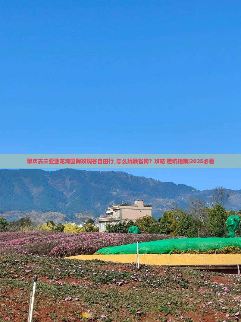 肇庆去三亚亚龙湾国际玫瑰谷自由行