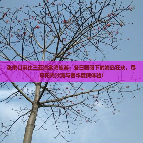 张家口前往三亚海棠湾旅游 张家口前往三亚海棠湾旅游