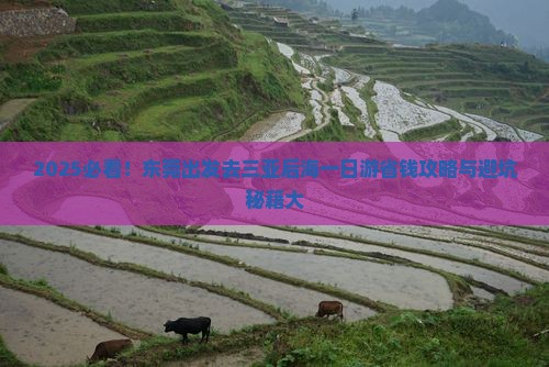 东莞去三亚后海一日游