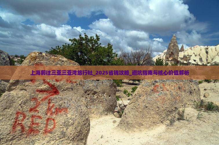 上海前往三亚三亚湾旅行社