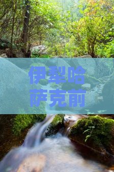伊犁哈萨克前往三亚西岛一日游