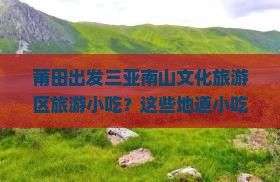 莆田出发三亚南山文化旅游区旅游小吃