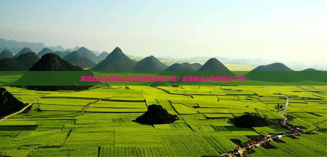 莆田出发三亚南山文化旅游区旅游小吃