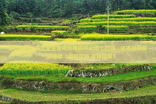 邢台去三亚亚龙湾热带森林公园七日游