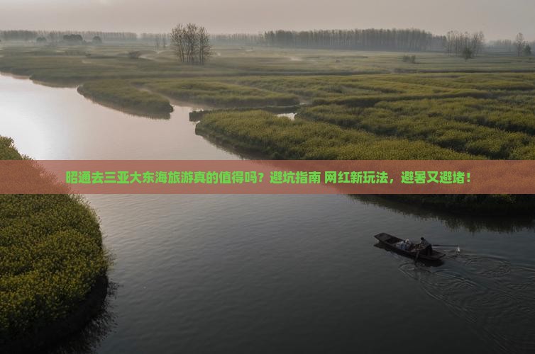昭通去三亚大东海旅游