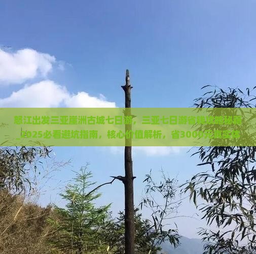怒江出发三亚崖洲古城七日游