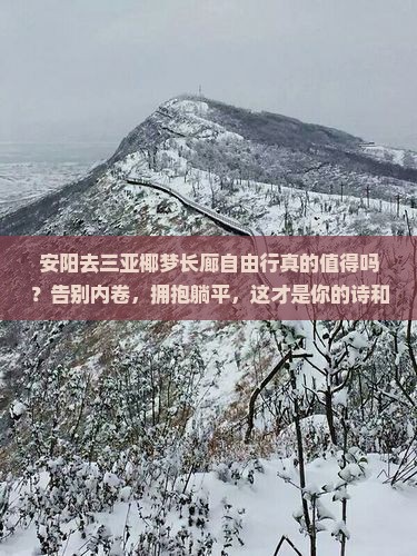 安阳去三亚椰梦长廊自由行