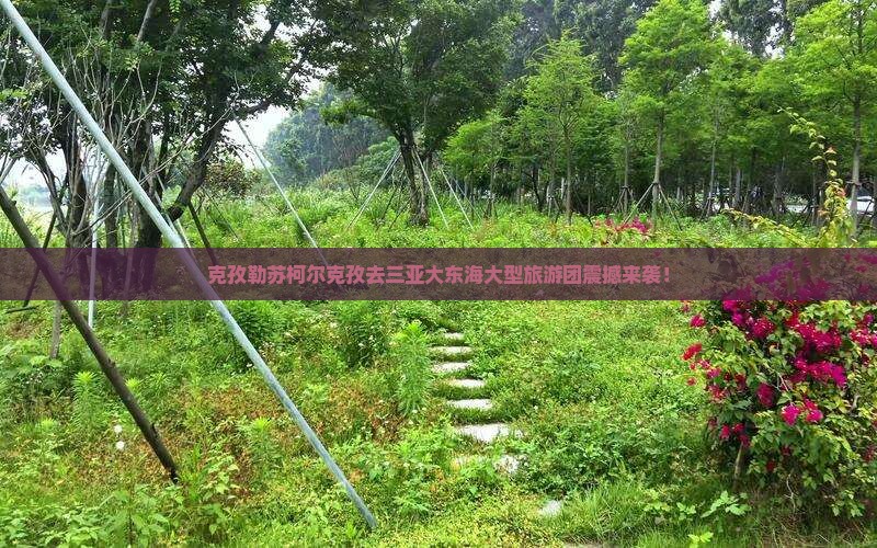 克孜勒苏柯尔克孜去三亚大东海大型旅游团
