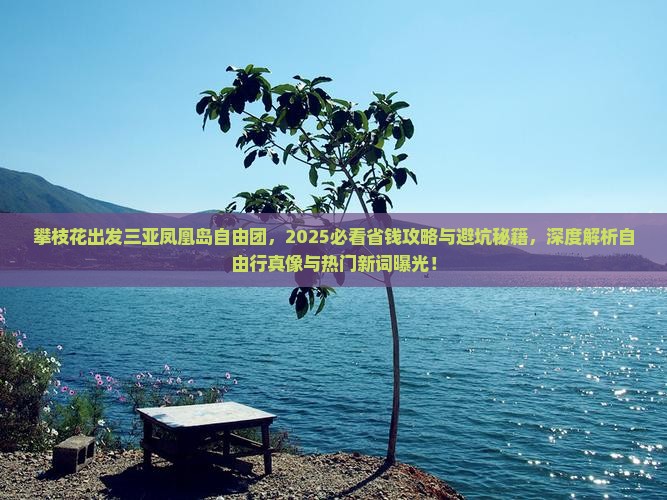 攀枝花出发三亚凤凰岛自由团